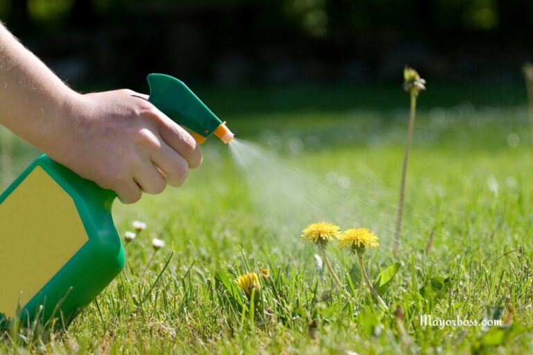 Vinegar and Salt Make a Great DIY Weed Killer—Here’s How to Use It
