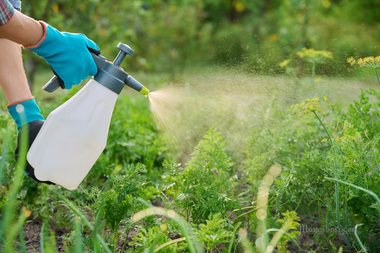 This 4-Ingredient Mix Makes a Great DIY Weed Killer—Here’s How to Use It