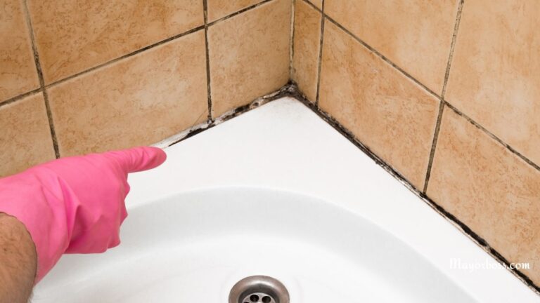 How To Prevent Bathroom Mold